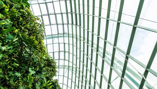 Protection des données personnelles